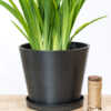 12 Inch Black Planter