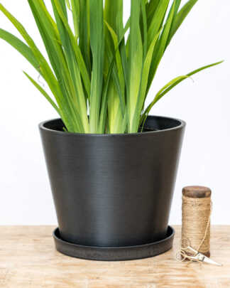 12 Inch Black Planter