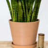 12 Inch Brick Pink Planter