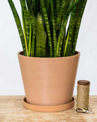 12 Inch Brick Pink Planter