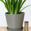 12 Inch Concrete Planter