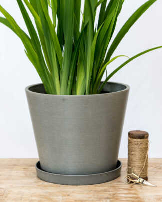 12 Inch Concrete Planter