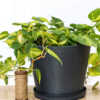 12 Inch Dark Blue Planter
