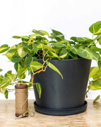 12 Inch Dark Blue Planter