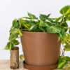 12 Inch Terra Planter