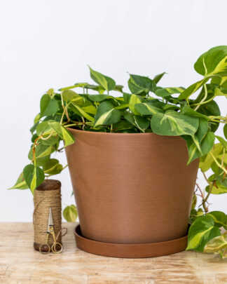 12 Inch Terra Planter