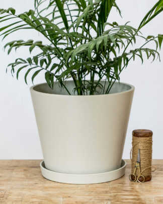 12 Inch White Planter