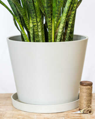 16 Inch White Planter