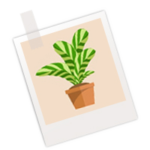 2-preview Picture of Plant