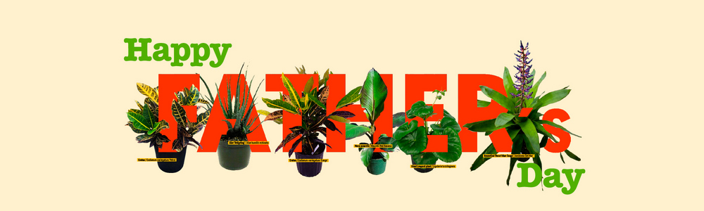 2000x1000-header-FD web 80 Happy Fathers Day