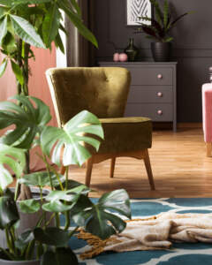 Empty chair in room with plant