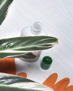 Alcohol leaf