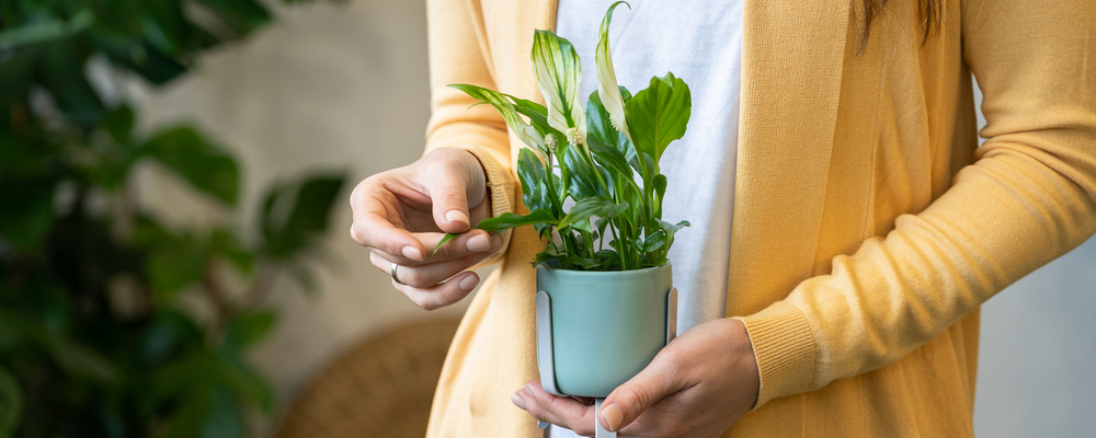 2021-01-27 Woman holding plant woman holding plant
