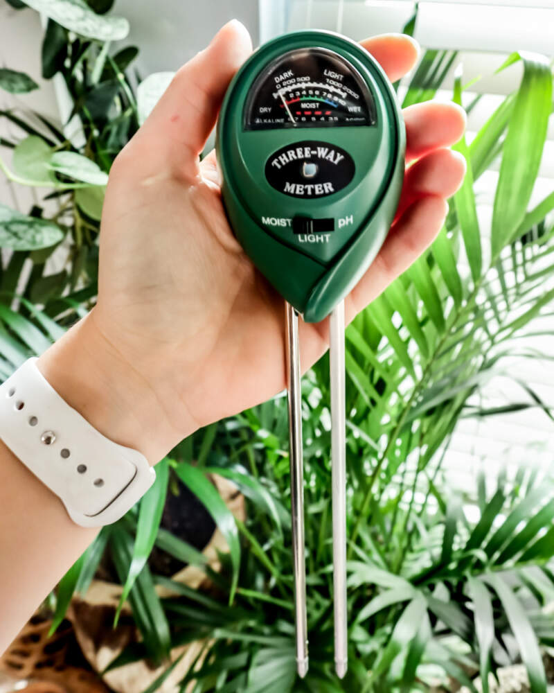 https://www.plantvine.com/plants/3n1-moisture-meter-2-800x1000.jpg