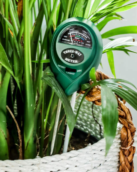 Moisture Meter