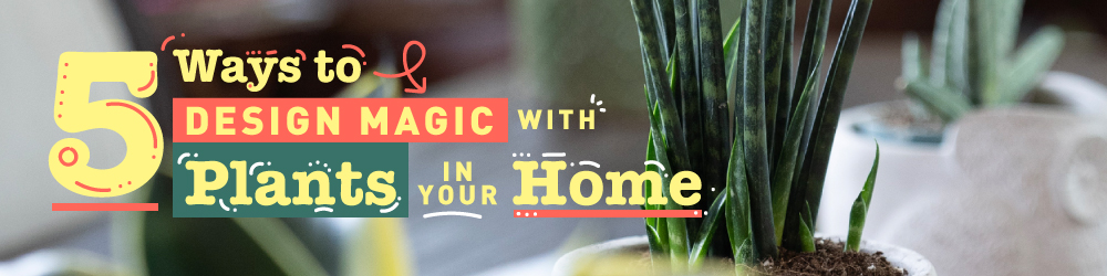 5ways-to-design-1000x250 5 ways to design magic with plants in your home