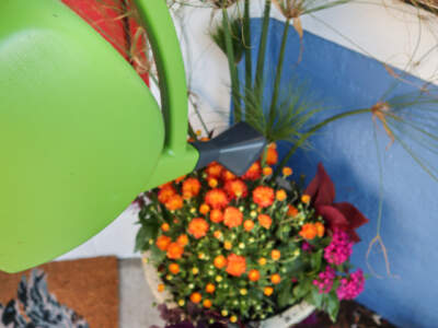 Container Arrangement