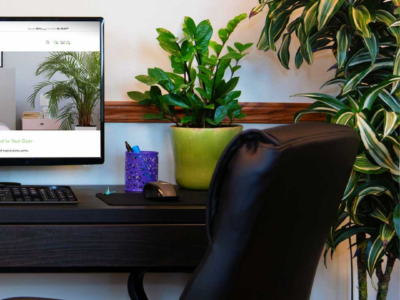 Air Purifying Plants