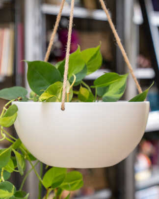 Viento Hanging Planter