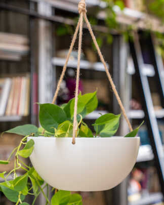 Viento Hanging Planter