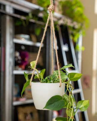 Nube Hanging Planter