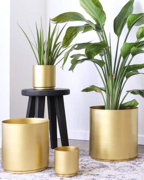 Brass Pots