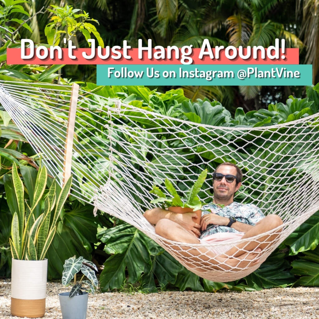 dont just hang around. Follow us on Instagram