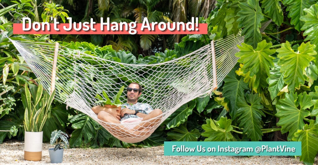 dont just hang around. Follow us on Instagram