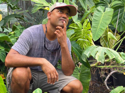 Deep thinking Darryl