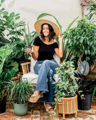 Plant Bundles