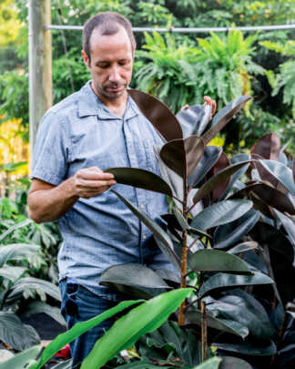Limited PlantVine Finds