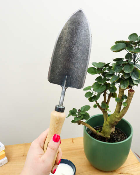 DeWit Outdoor Hand Trowel