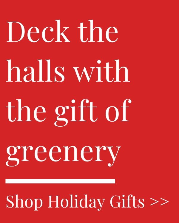 Deck the halls with the gift of greenery (1) deck the halls with the gift of greenery