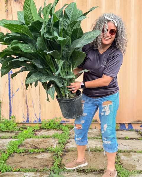 PlantVine Picks PlantVine Picks