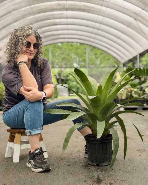 PlantVine Picks PlantVine Picks