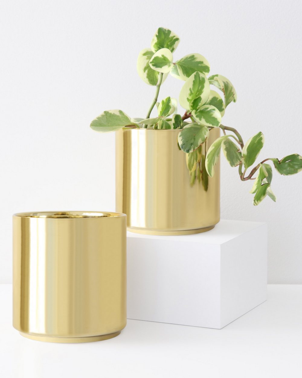 7″ Ceramic Cylinder Planter Set PlantVine