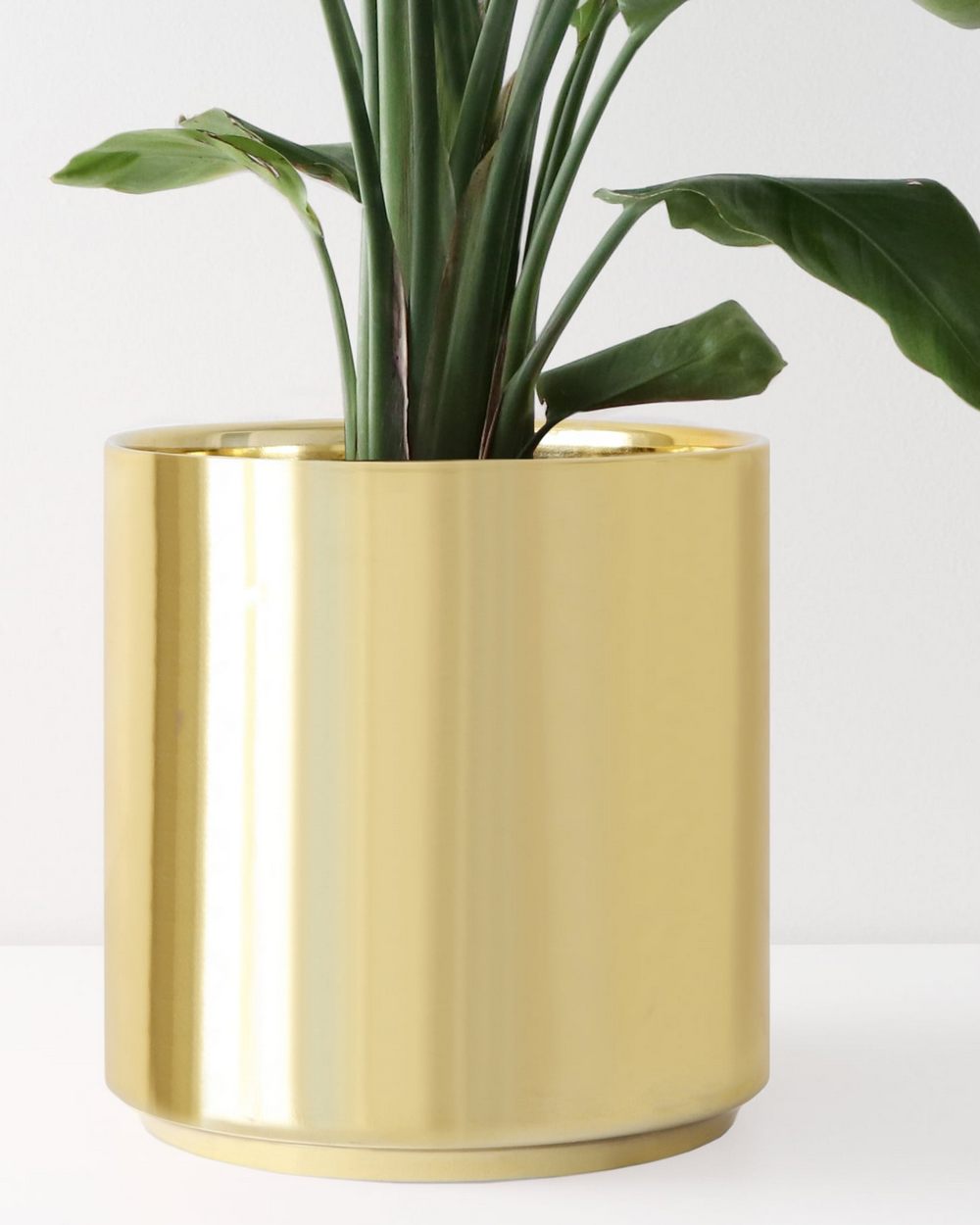 Buy 5″ Ceramic Cylinder Planter Set Free Shipping over 100
