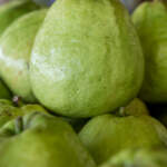 guava