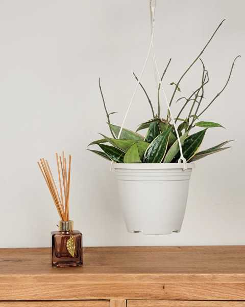 Medium, Hanging Basket