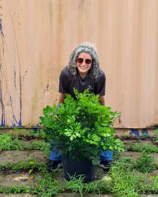 PlantVine Picks