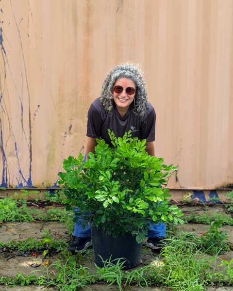 PlantVine Picks PlantVine Picks