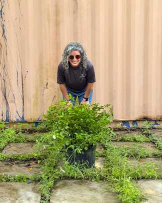 PlantVine Picks