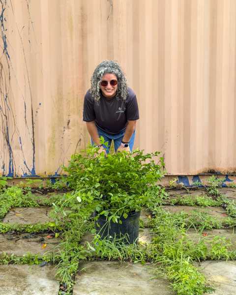 PlantVine Picks PlantVine Picks