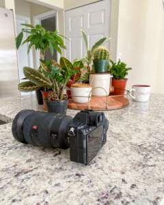 Camera on counter with plants