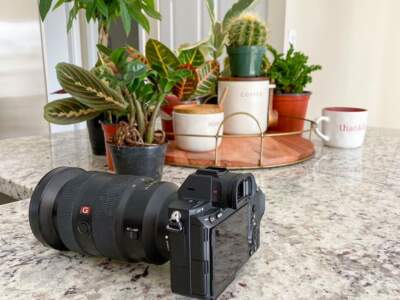 Camera on counter with plants