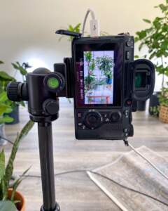 Camera taking photo of plant