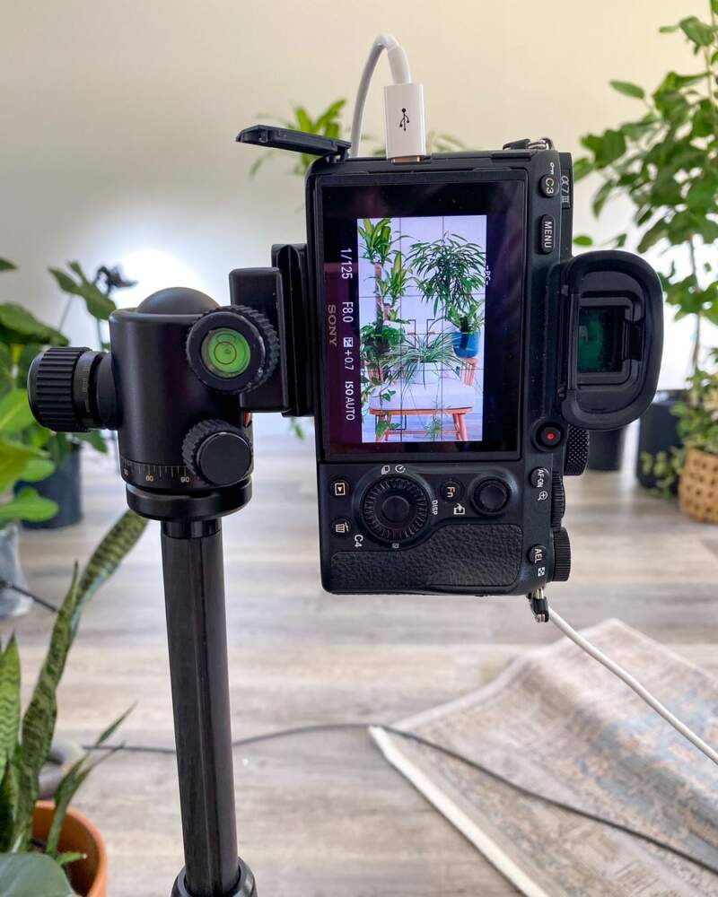 Camera Planting Insta-worthy Plant Photography Tips To Go Viral! | PlantVine