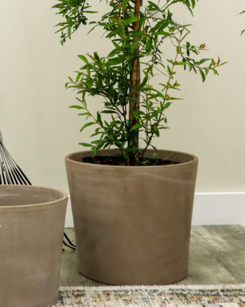 12" Graphite Pot
