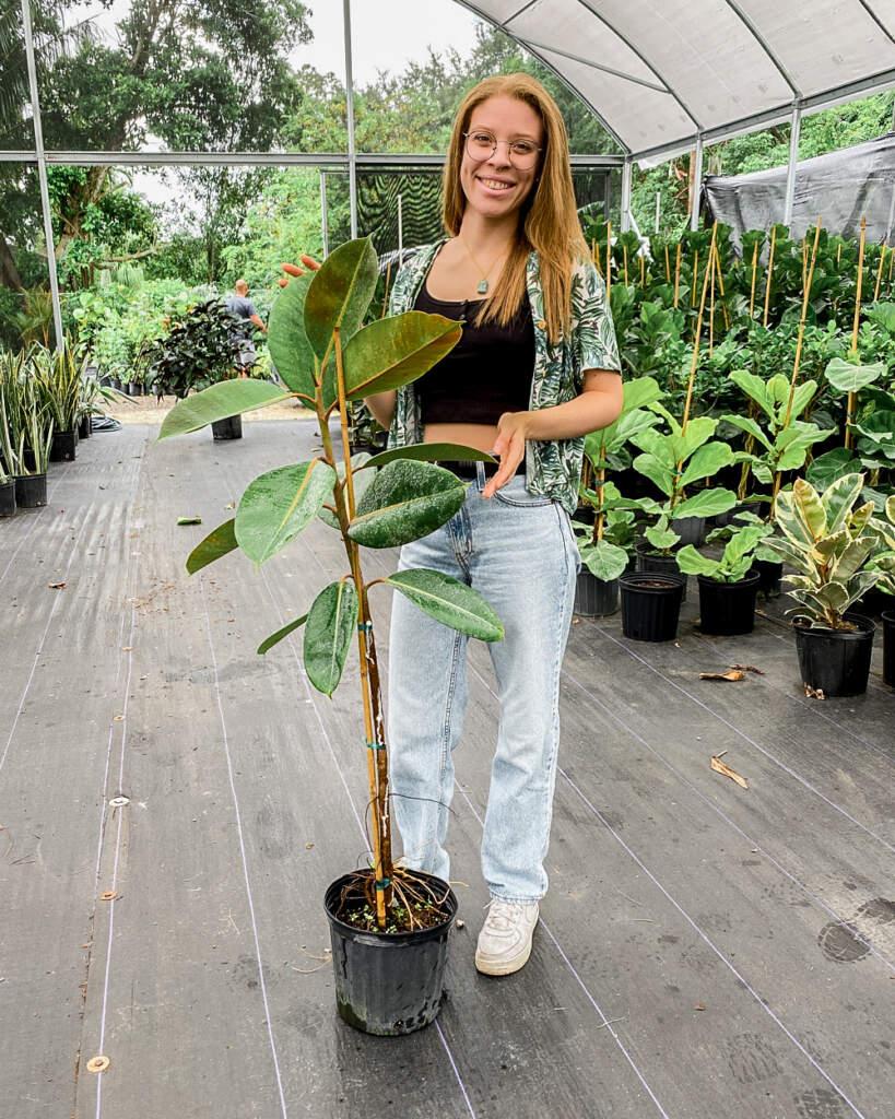 IMG_5835 (2) 4 foot tall plant next to girl