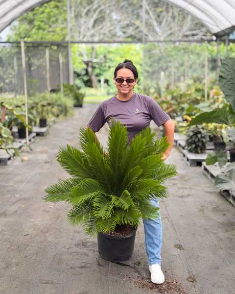 PlantVine Picks